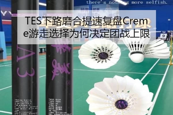 TES下路磨合提速复盘Creme游走选择为何决定团战上限