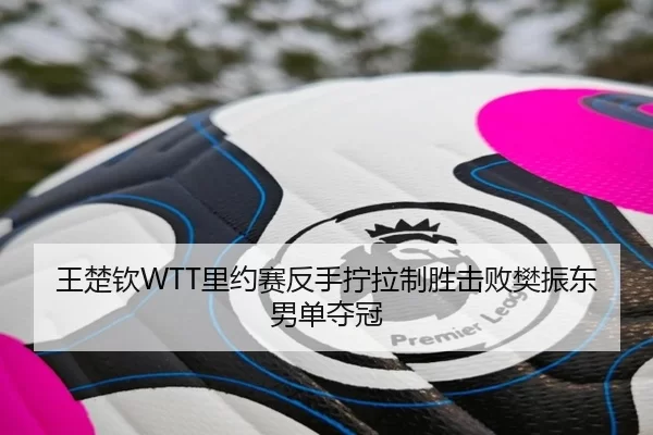 王楚钦WTT里约赛反手拧拉制胜击败樊振东男单夺冠