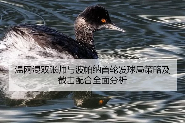 wen-wang-hun-shuang-zhang-shuai-yu-bo-pa-na-shou-lun-fa-qiu-ju-ce-lve-ji-jie-ji-pei-he-quan-mian-fen-xi-2-619.jpg